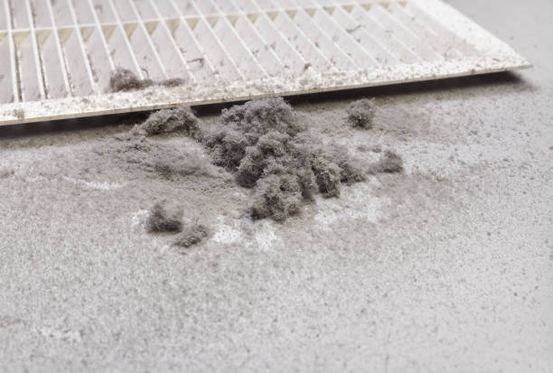 Best Affordable Air Duct Cleaning  in Florin, CA
