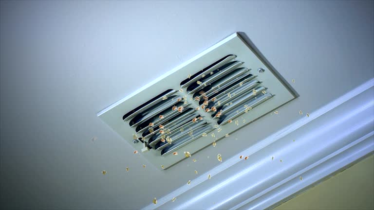 Best Ventilation Cleaning Services  in Florin, CA